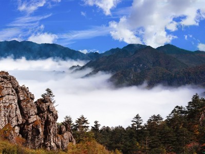 泉州神农架：秘境之旅，云海奇观，草原牧歌，探寻世外桃源